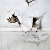 Ceiling Repair - Image 3